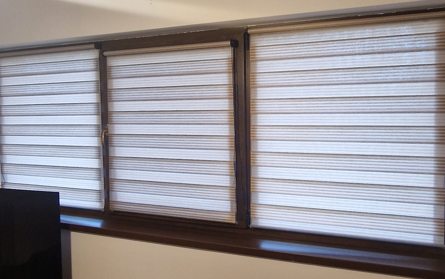 Bicolor Maro-Alb BH-2804