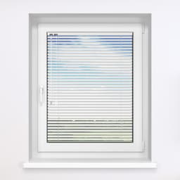 Alb Gloss 900