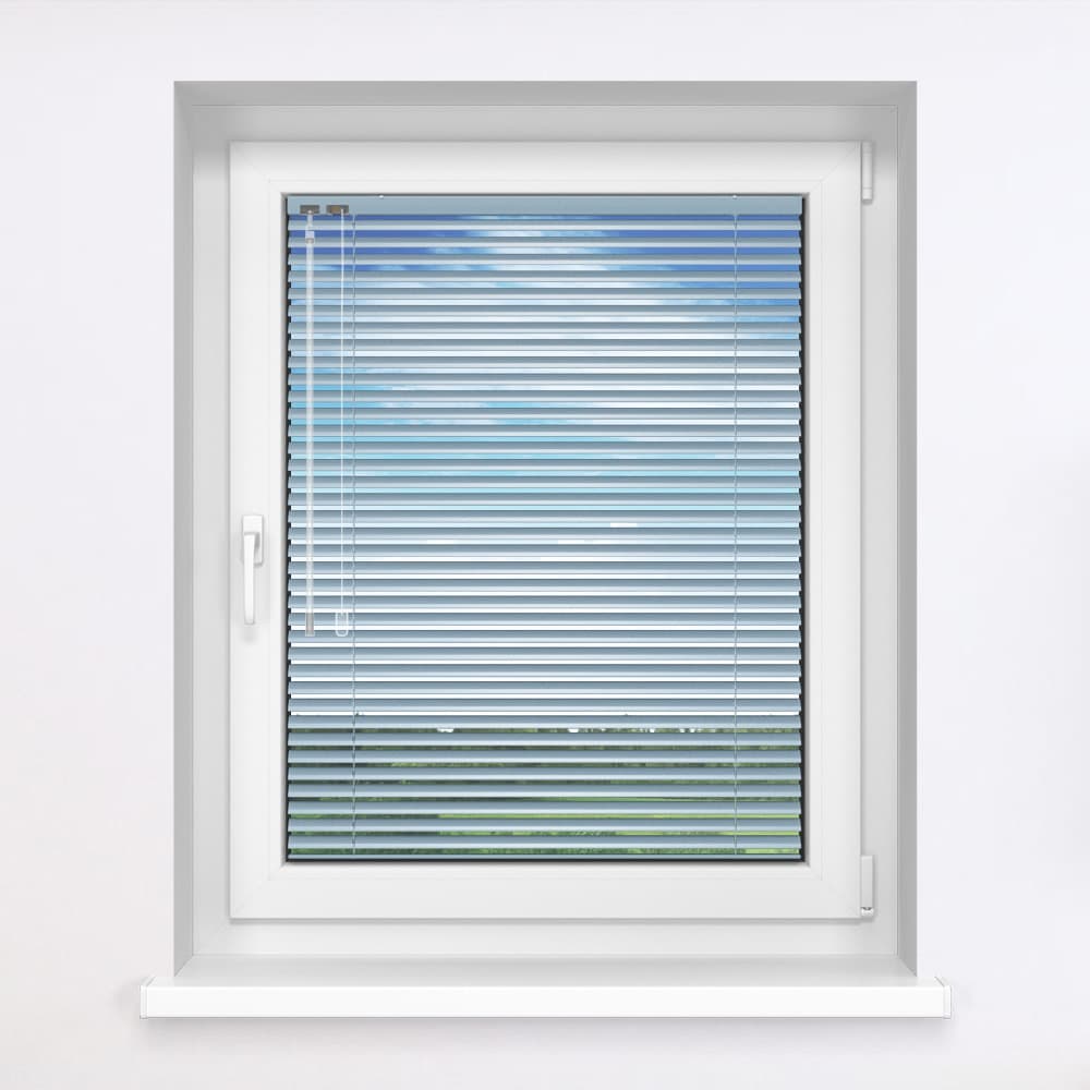 Albastru Gloss 491