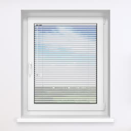 Silver Mat 9006