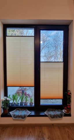 CORIDA