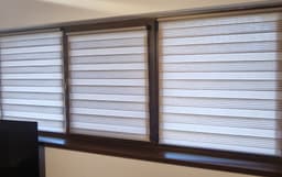 Bicolor Maro-Alb BH-2804