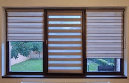 Bicolor Maro-Bej BH-2806