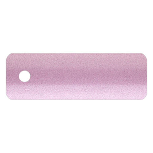 Roz Gloss 490