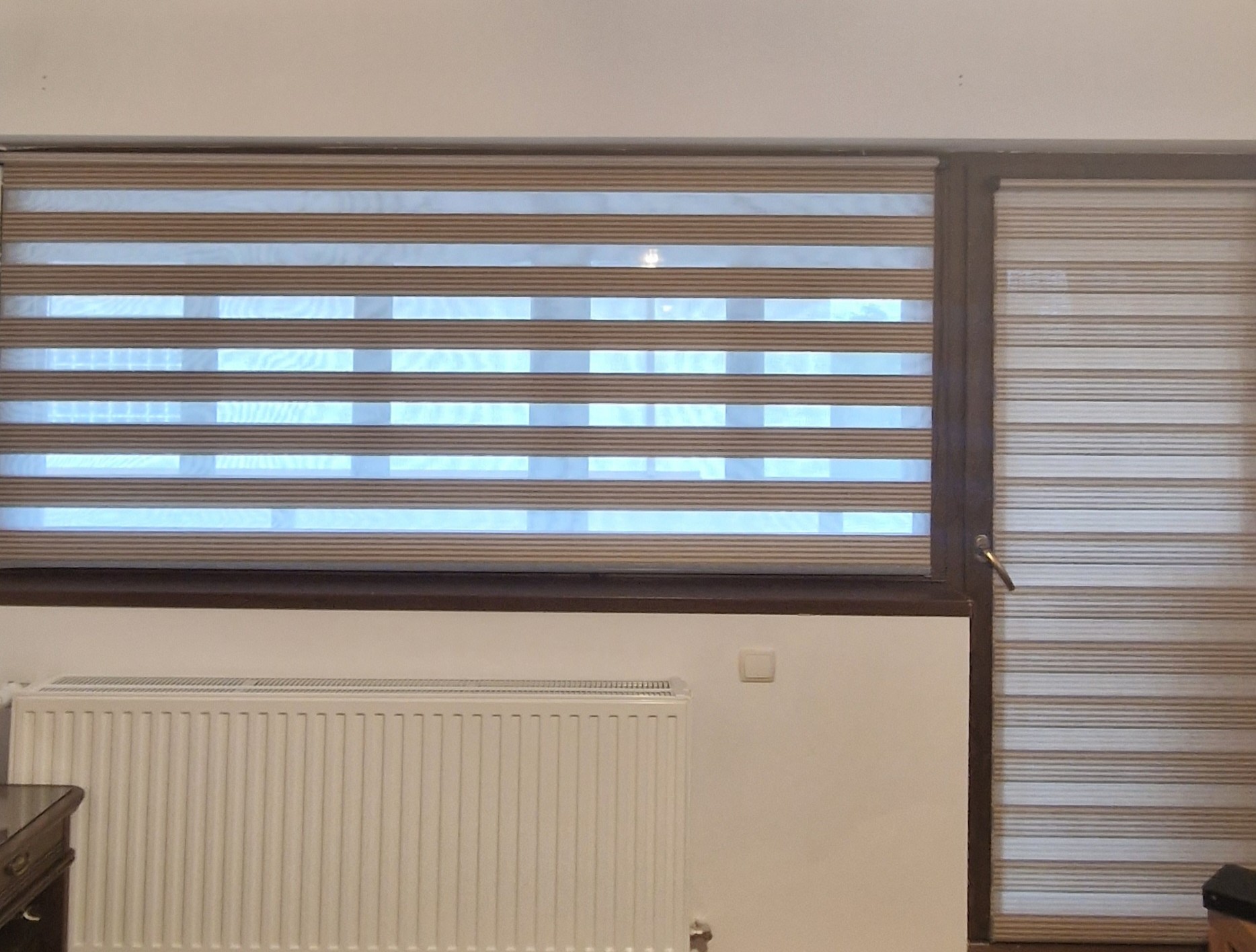 Bicolor Maro-Bej BH-2806