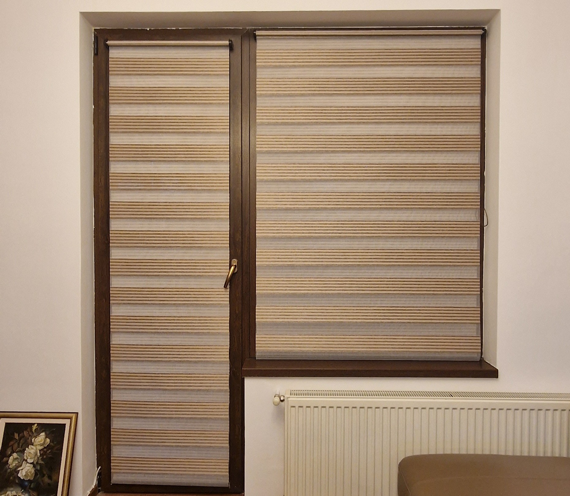 Bicolor Maro-Bej BH-2806