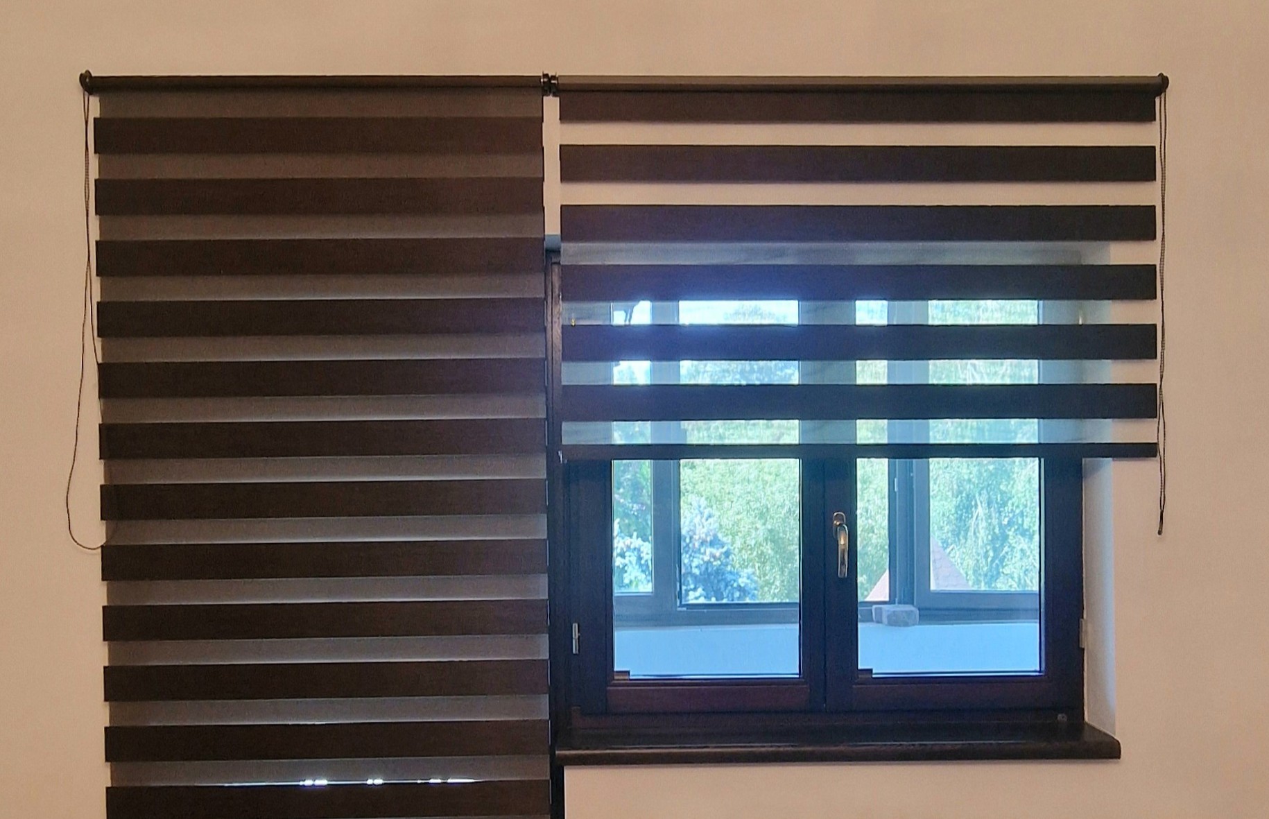 Wenge BH-66